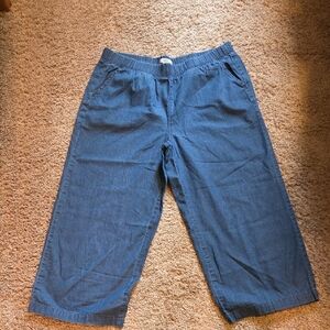 Croft & Barrow Blue Ankle Pants